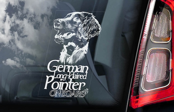 German Longhaired Pointer on Board - Car Window Sticker - Vorstehhund Dog Sign Long-haired Decal -V01