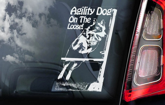 Hund Aufkleber Hund an Bord Dog -Autoaufkleber 
