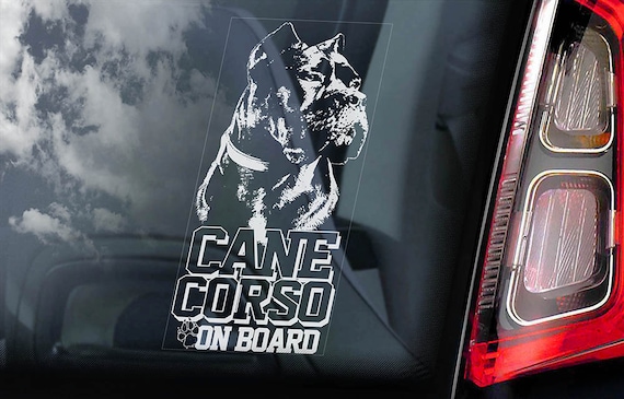 Cane Corso on Board - Car Window Sticker - Beware of the Dog - Italian Mastiff Sign Decal  -V05