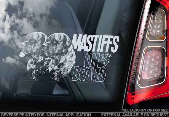 Mastiffs on Board - Car Window Sticker - English Mastiff Molosser Dog Sign Decal - V06