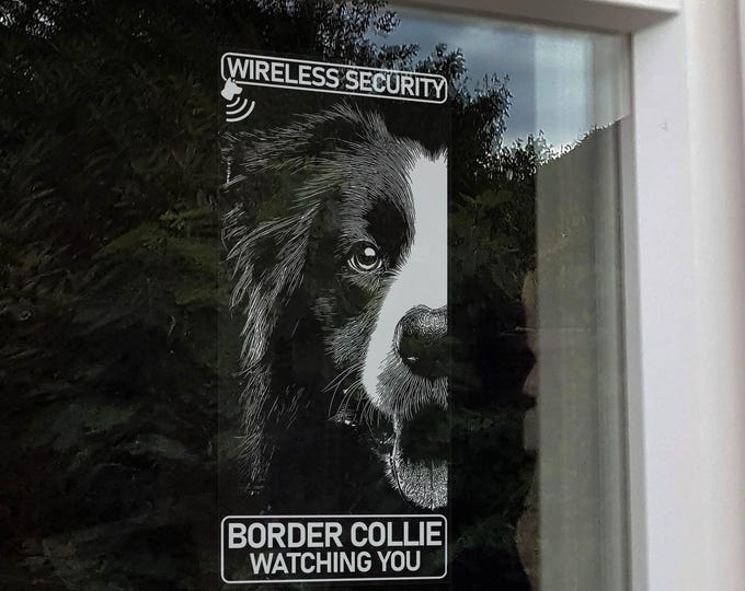 BORDER COLLIE Wireless Security, Dog Lives Here Home Protection Window Sticker, K9 Dog Anti Theft Warning Sign Decal -V12