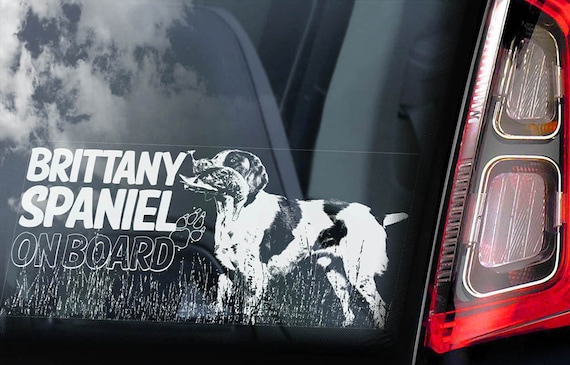 Brittany Spaniel - Car Window Sticker - French Breton Dog on Board Sign Decal - V02