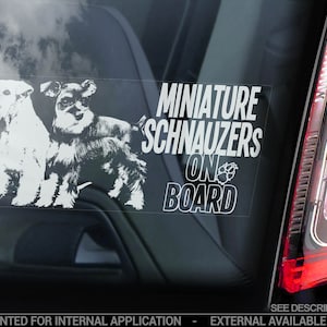 ミニチュア・シュナウザーが乗っている - 車の窓用ステッカー - ミニチュア・シュナウザー・シュナウザー犬用サインデカール - V10