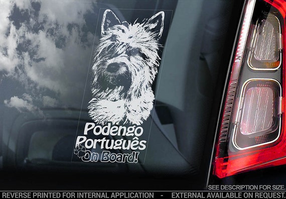 Podengo Portugues on Board - Car Window Sticker - Portuguese Warren Hound Dog Sign Decal - V02