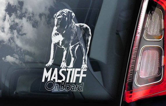 Mastiff on Board - Car Window Sticker - English Molosser Dog Sign Decal - V02