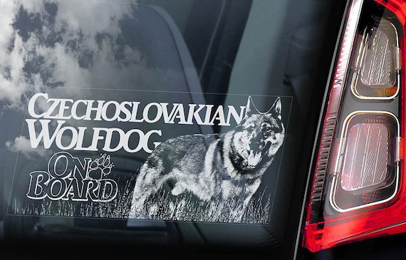 Czechoslovakian Wolfdog on Board - Car Window Sticker - Vlcak Cane Lupo Cecoslovacco Sign Decal - V07