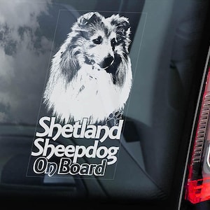 Shetland Sheepdog on Board - Car Window Sticker - Sheltie Collie Dog Sign Decal Sign - V02