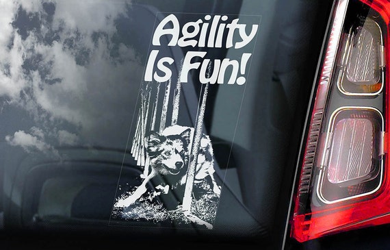 Agility is Fun! - Car Window Sticker - Dog on Board Sign Decal Border Collie -V01