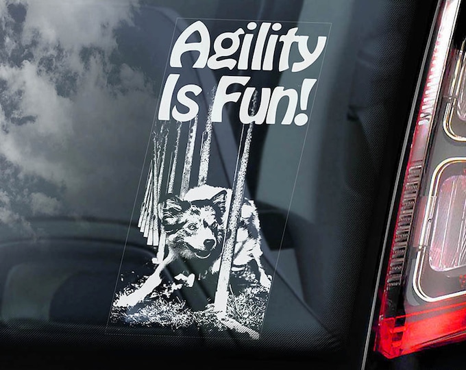 Agility is Fun! - Car Window Sticker - Dog on Board Sign Decal Border Collie -V01