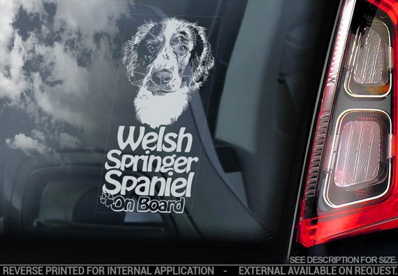 Welsh Springer Spaniel on Board - Car Window Sticker - Cocker Starter Dog Sign Decal - V02
