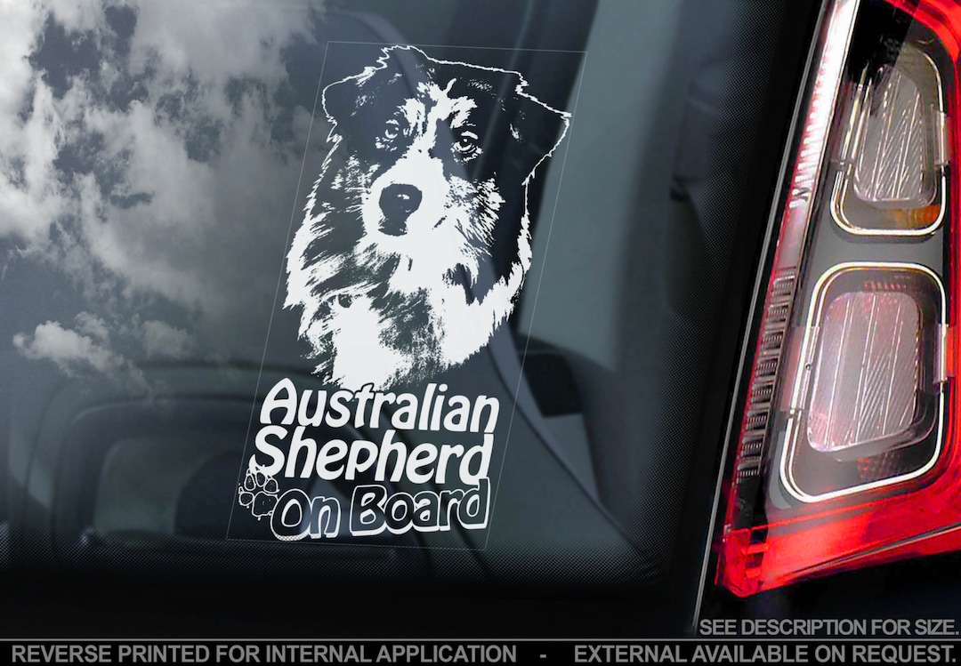Acquista Elegante cane Bull Terrier elettrocardiogramma carrozzeria auto vetrofanie decorazione adesivi per auto in Italia a partire da 1.1