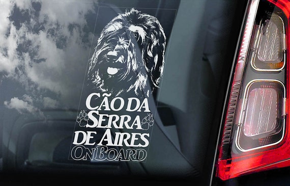 Cao da Serra de Aires - Car Window Sticker - Cão Macaco Dog on Board Sign Decal - V01