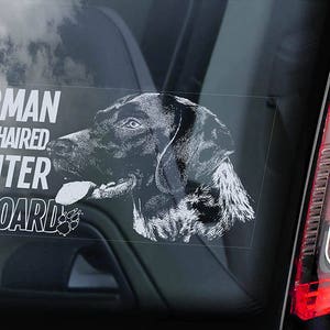 German Shorthaired Pointer on Board - Car Window Sticker - Vorstehhund Dog Sign Short-haired Decal -V04