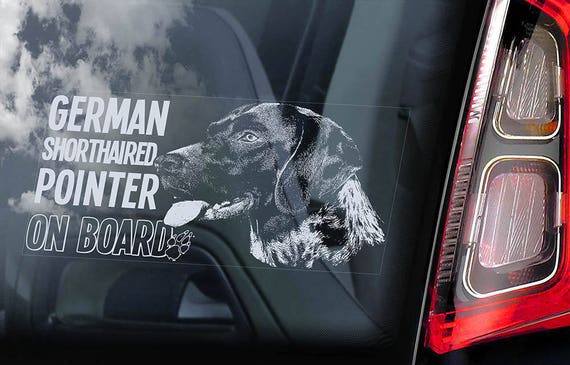 German Shorthaired Pointer on Board - Car Window Sticker - Vorstehhund Dog Sign Short-haired Decal -V04