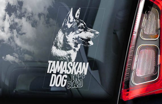 Tamaskan Dog on Board - Car Window Sticker - Tam Husky Sign Decal - V01