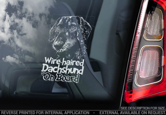 Wire Haired Dachshund on Board - Car Window Sticker - Teckel Dackel Dog Sign Decal - V10