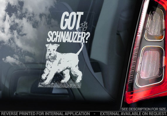 Got Schnauzer? on Board - Car Window Sticker - Standard Miniature Dog Sign Bumper Decal - V05