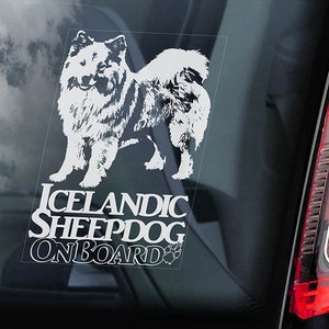 アイスランド・シープドッグ乗車中 - 車の窓用ステッカー - アイランズク・スピッツ犬サインデカール - V01