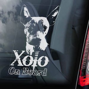 Xolo on Board - Car Window Sticker - Xoloitzcuintle Dog Sign Decal Mexican Hairless Dog Xoloitzcuintli - V01