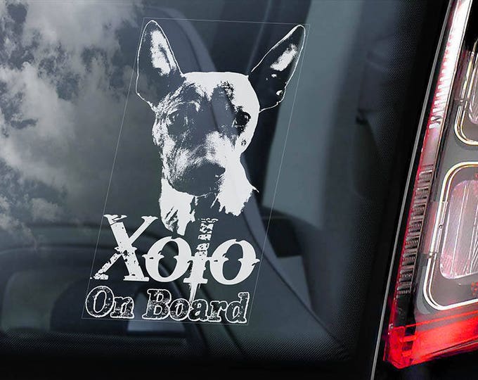 Xolo on Board - Car Window Sticker - Xoloitzcuintle Dog Sign Decal Mexican Hairless Dog Xoloitzcuintli - V01