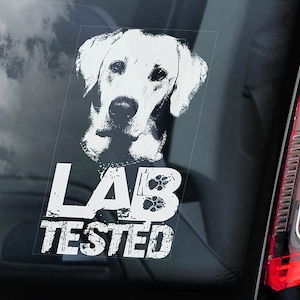 Lab Tested - Autofenster Aufkleber - Labrador Retriever an Bord Hund Schild Aufkleber -V01