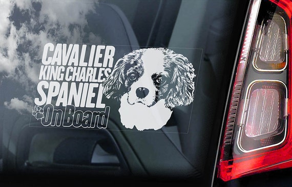 Cavalier King Charles Spaniel - Car Window Sticker - Dog on Board Sign Decal - V06