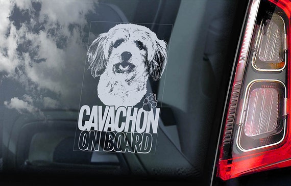 Cavachon on Board - Car Window Sticker -  King Charles Spaniel Bichon Dog Sign Decal - V01