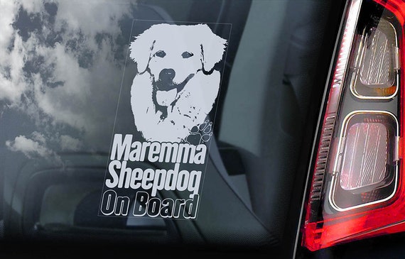 Maremma Sheepdog on Board - Car Window Sticker - Pastore Abruzzese Maremmano Dog Sign Decal Gift - V01