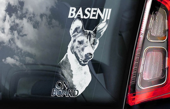 Basenji on Board - Car Window Sticker - Ango Angari African Bush Dog Sign Decal - V01