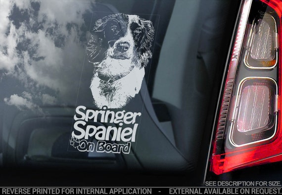 Springer Spaniel on Board - Car Window Sticker - English Dog Sign Decal - V08