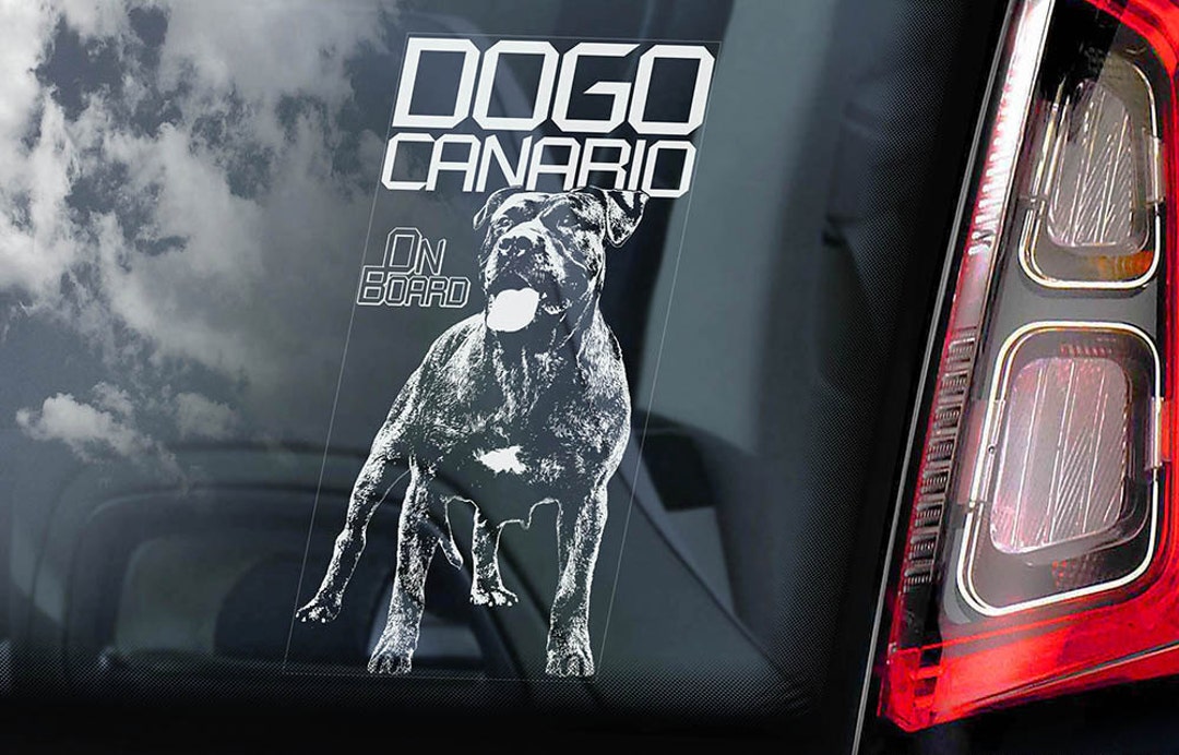 Dogo Canario on Board - Car Window Sticker - Perro De Presa Canary ...