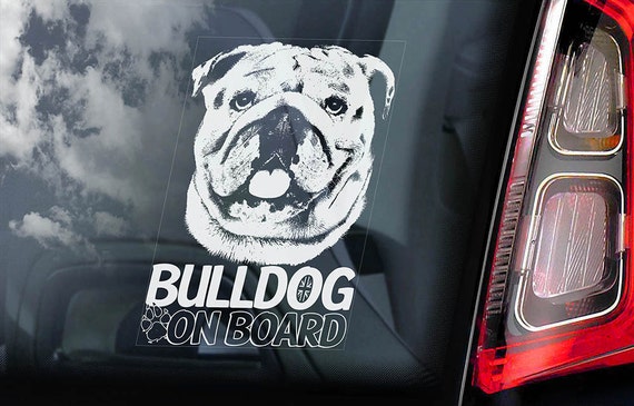 Bulldog on Board  - Car Window Sticker - British English Bully Dog Sign Decal  -V02