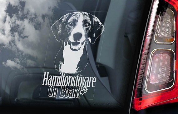 Hamiltonstövare on Board - Car Window Sticker - Swedish Foxhound Hamilton Hound Dog Sign Decal - V01