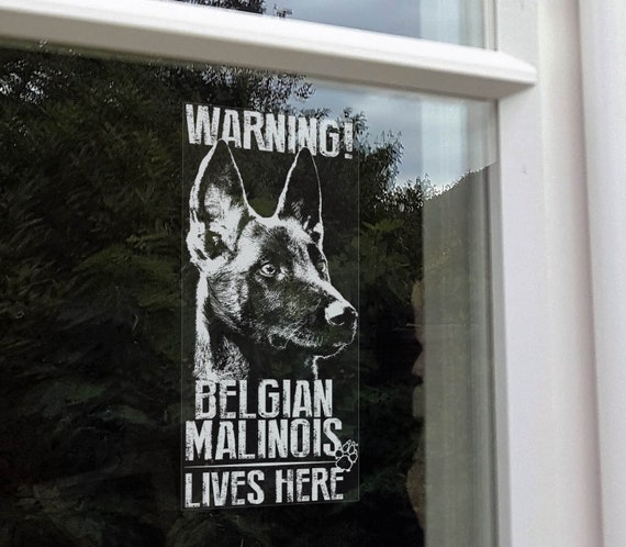 WARNING! Belgian Malinois Lives Here - Window Sticker - Security K9 Dog Sign Home Decal - V29