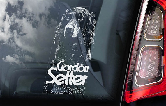 Gordon Setter on Board - Car Window Sticker - Dog Sign Decal -V01