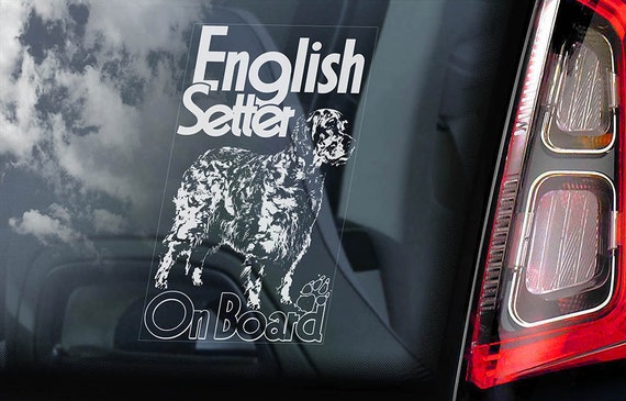 English Setter on Board - Car Window Sticker - Lawerack Laverack Dog Sign Gift Decal - V02