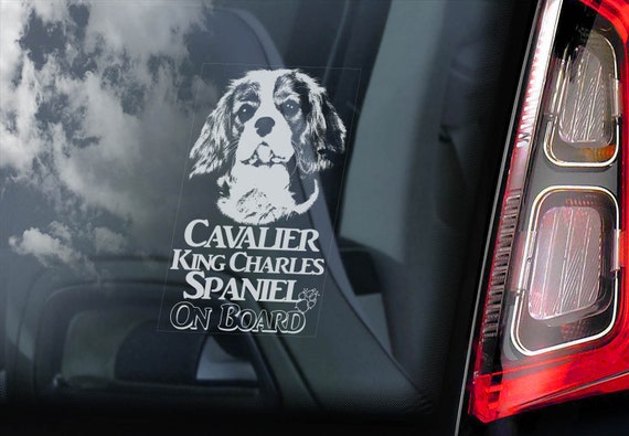 Cavalier King Charles Spaniel - Car Window Sticker - Dog on Board Sign Decal - V01