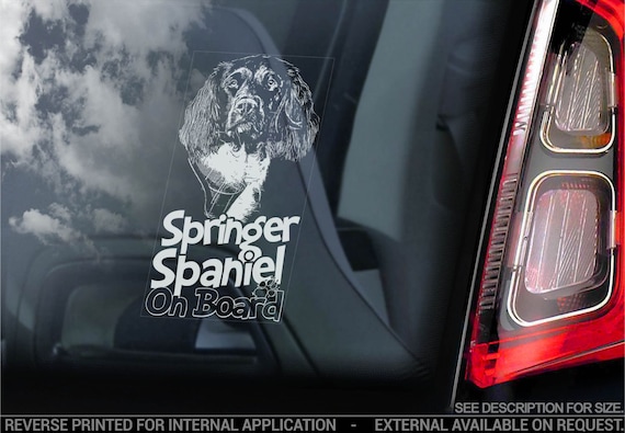Springer Spaniel on Board - Car Window Sticker - English Dog Sign Decal - V05