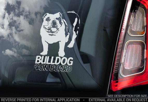 Bulldog on Board - Car Window Sticker - British English Bully Dog Decal Bumper Sign - V04