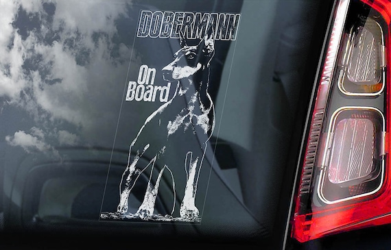 Dobermann on Board - Car Window Sticker - Doberman Pinscher K9 Dog Sign Decal Cropped -V04