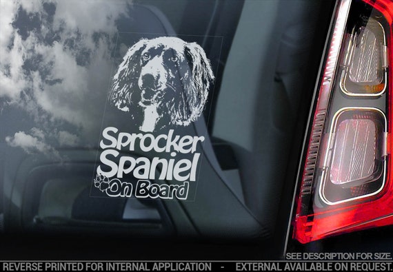 Sprocker Spaniel on Board - Car Window Sticker - English Springer Dog Sign Decal - V03