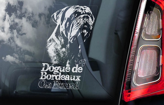 Dogue de Bordeaux on Board - Car Window Sticker - French Mastiff Sign Gift Decal - V03