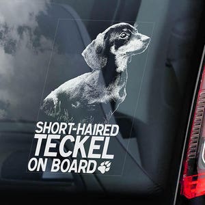 May include: A white car window sticker with a black and white illustration of a short-haired dachshund. The text on the sticker reads "Short-haired Teckel On Board" with a paw print.