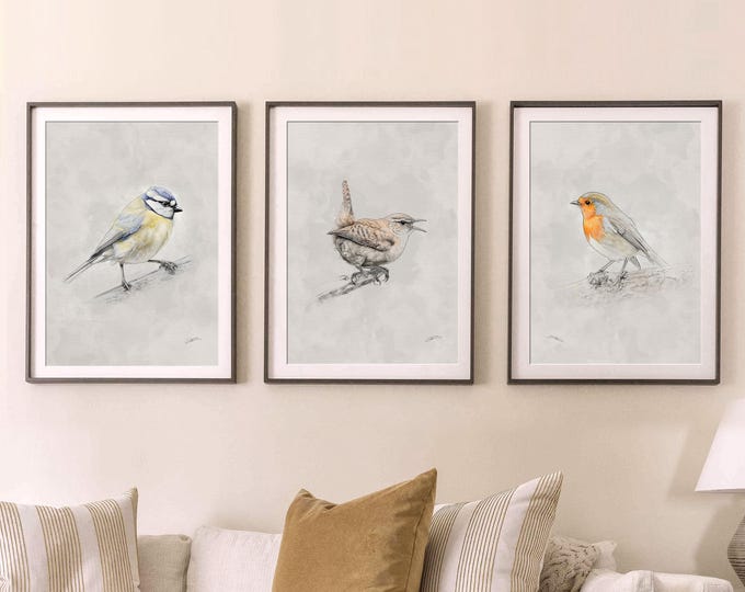 Set of 3 Garden Birds Prints, Illustrated Sketch Watercolour Posters; Wren, Robin, Blue Tit - Bedroom, Living Room Wall Art