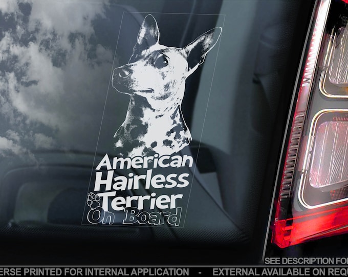 American Hairless Terrier on Board - Car Window Sticker - AHT Dog Sign Decal Gift - V01