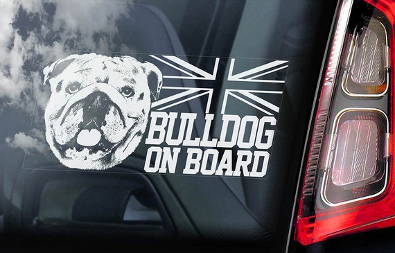 Bulldog on Board  - Car Window Sticker - British English Bully Dog Sign Decal  -V03