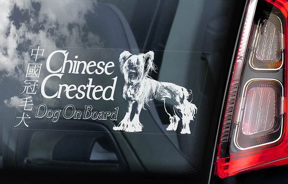 Chinese Crested Dog on Board - Car Window Sticker - Sign Cute Gift Idea Art Decal - V01