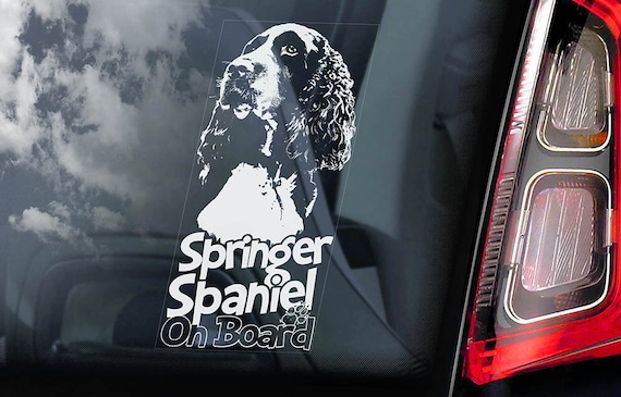 Springer Spaniel on Board - Car Window Sticker - English Dog Sign Decal -V02