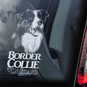May include: White sticker on a black car window with a black and white image of a Border Collie dog and the text "Border Collie On Board".