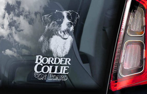 Border Collie on Board - Car Window Sticker - Dog Sign Scottish Sheepdog Decal  -V07